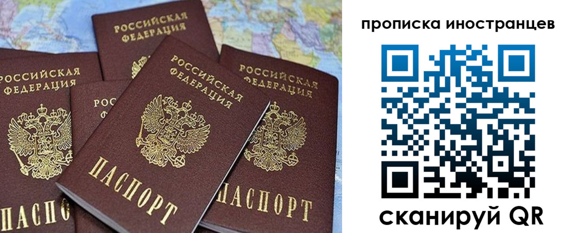 прописка штамп в Жуковском